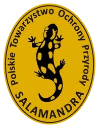 salamandra